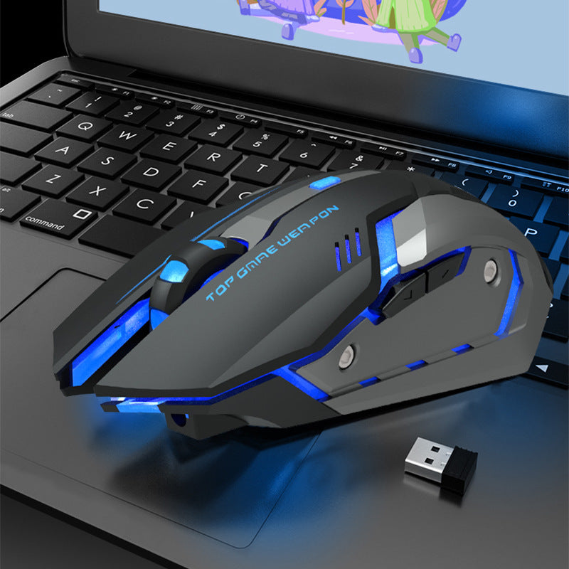 TGW T1 Silent Wireless Gaming Mouse